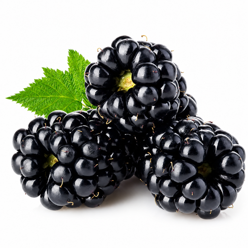 Blackberry Fruit Seeds - seed packet and planting photo