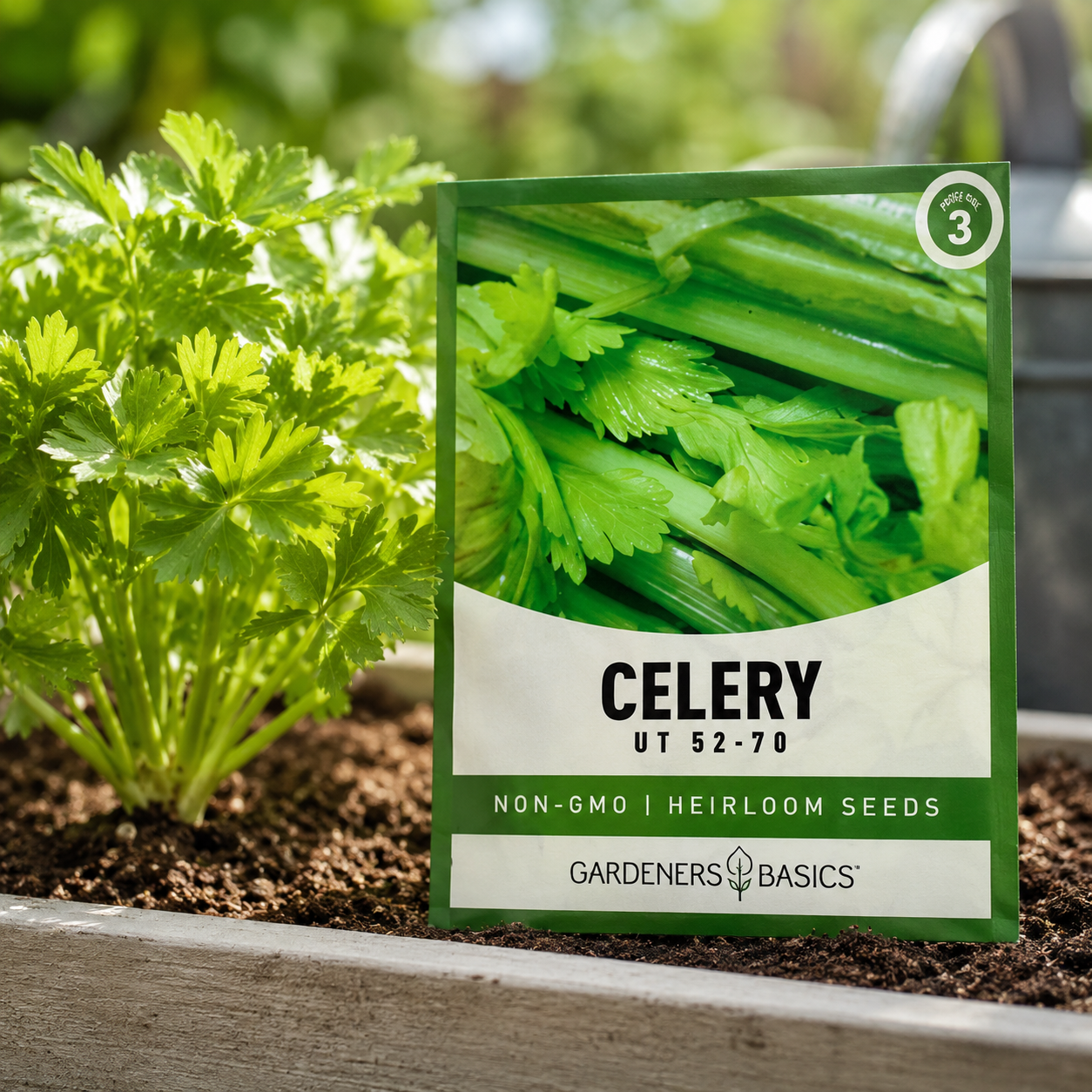 Celery Planting Seeds for Home Gardens - seed packet and planting photo