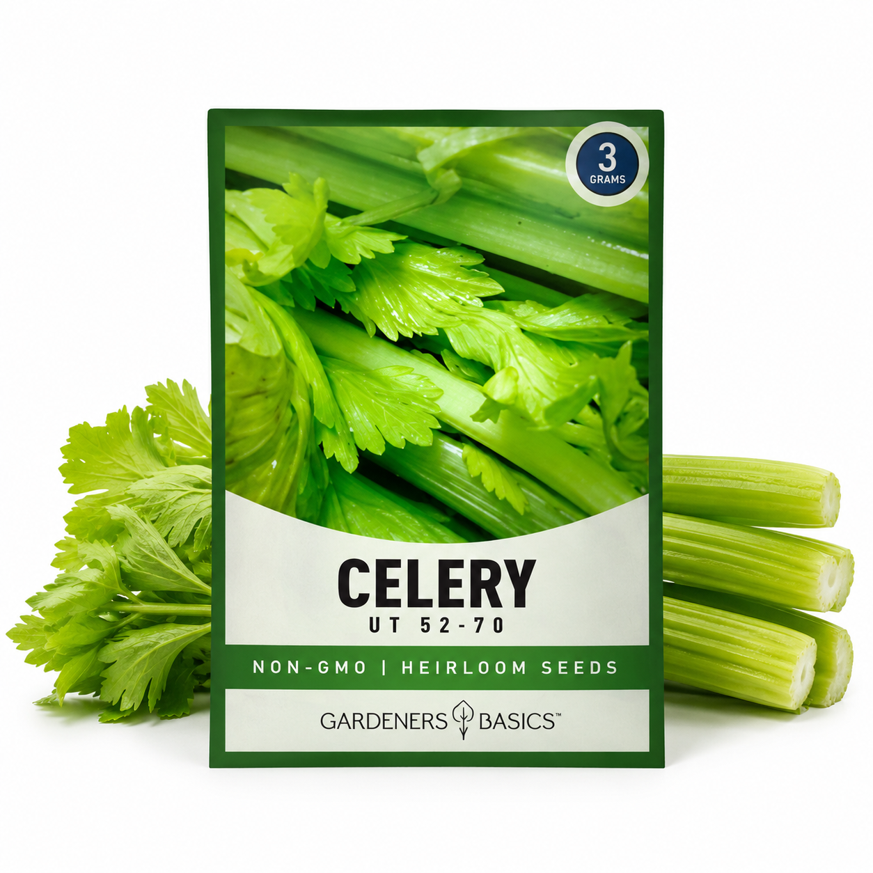 Celery Planting Seeds for Home Gardens - seed packet and planting photo