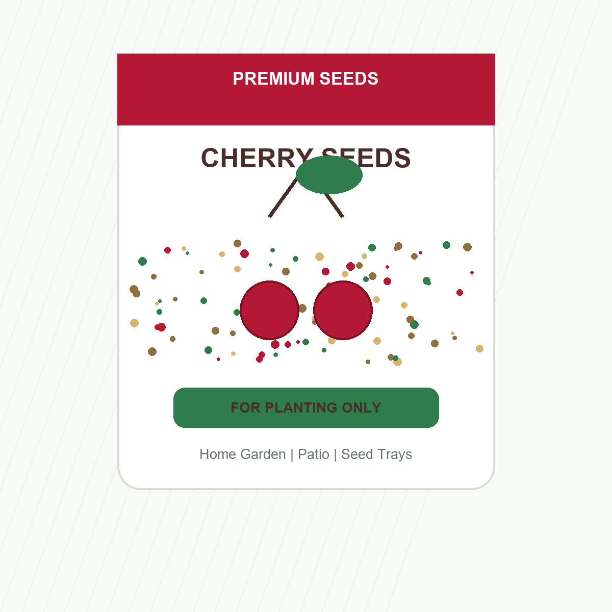 Cherry Fruit Seeds - seed packet and planting photo