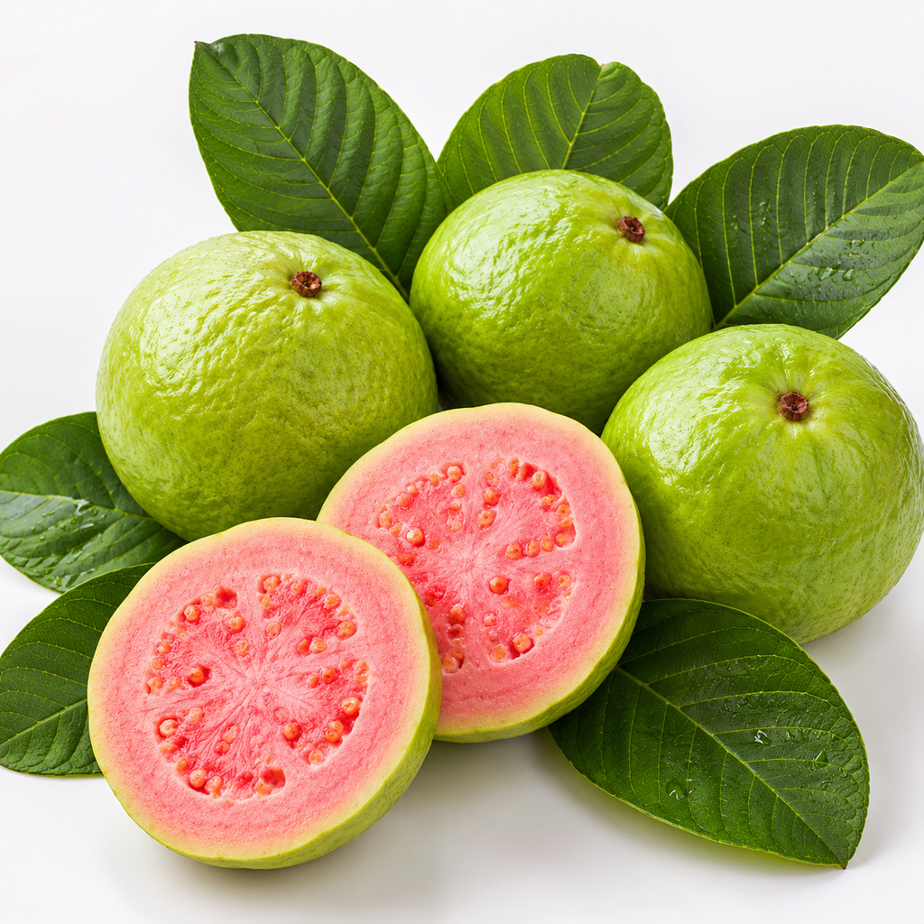 Guava Fruit Seeds - seed packet and planting photo